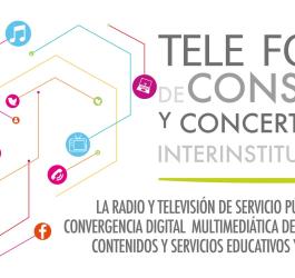 Segundo tele foro de consulta y concertación interinstitucional